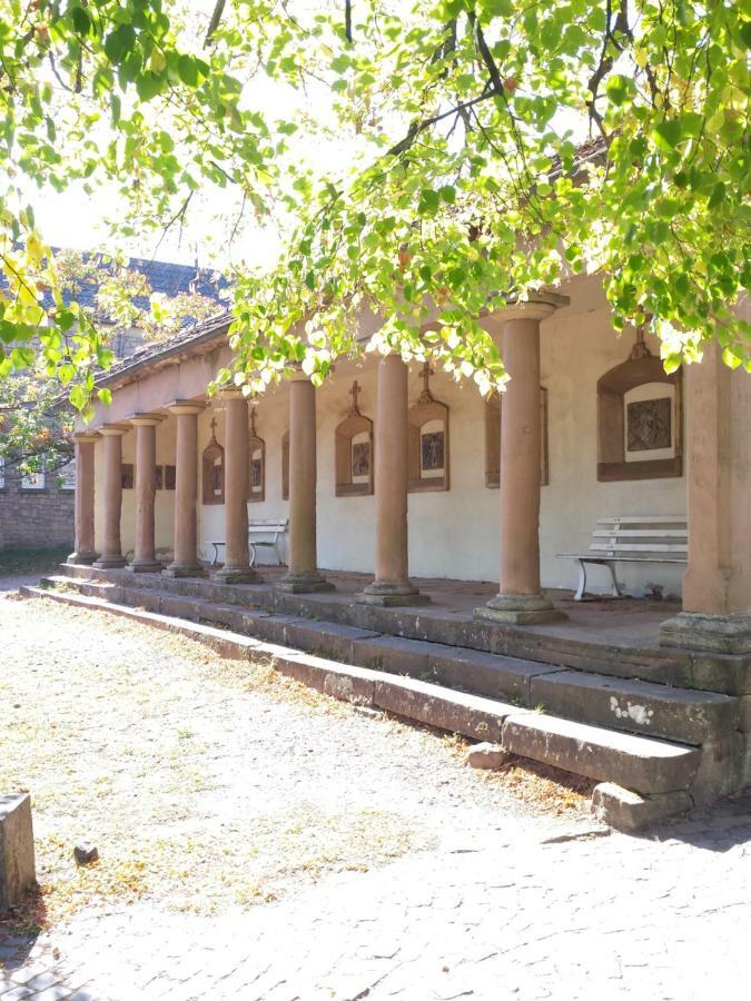 Moderne Wohnung In Barockem Altstadthaus Nahe Altstadt Und Radweg Blieskastel Εξωτερικό φωτογραφία