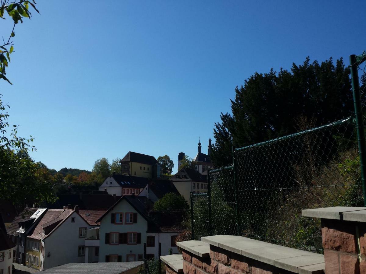 Moderne Wohnung In Barockem Altstadthaus Nahe Altstadt Und Radweg Blieskastel Εξωτερικό φωτογραφία